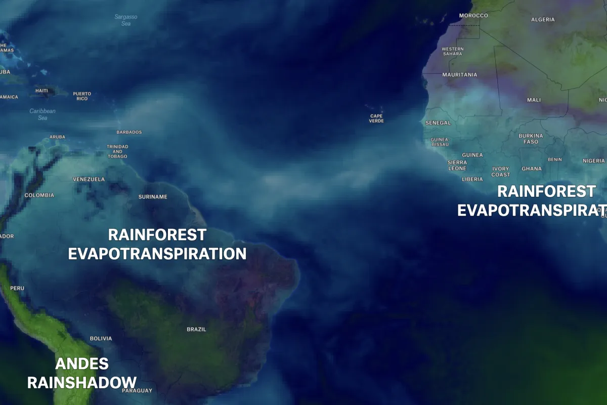 A Felt map of precipitable water over the Atlantic labeling rainforest evapotranspiration in South America and Africa